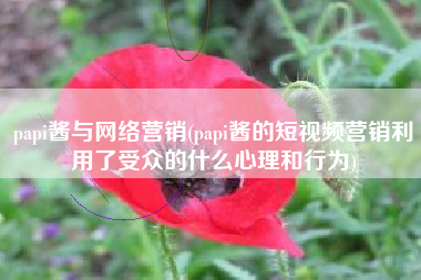 papi酱与网络营销(papi酱的短视频营销利用了受众的什么心理和行为)