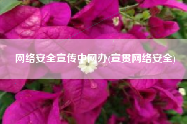 网络安全宣传中网办(宣贯网络安全)