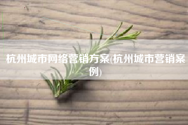 杭州城市网络营销方案(杭州城市营销案例)