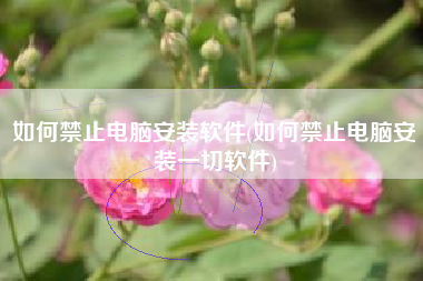 如何禁止电脑安装软件(如何禁止电脑安装一切软件)