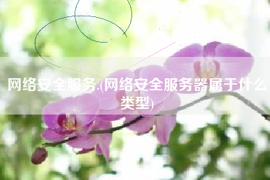 网络安全服务.(网络安全服务器属于什么类型)