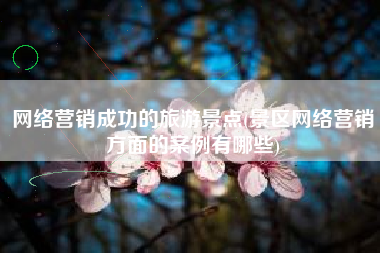 网络营销成功的旅游景点(景区网络营销方面的案例有哪些)