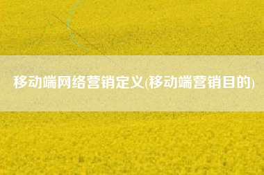 移动端网络营销定义(移动端营销目的)
