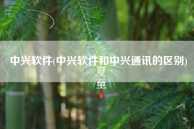 中兴软件(中兴软件和中兴通讯的区别)