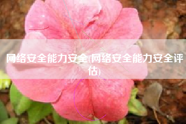 网络安全能力安全(网络安全能力安全评估)