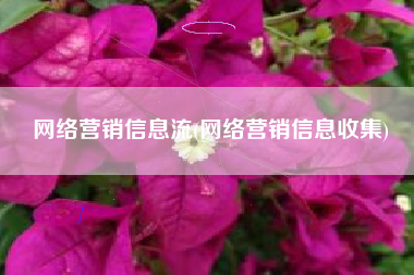 网络营销信息流(网络营销信息收集)