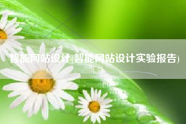 智能网站设计(智能网站设计实验报告)