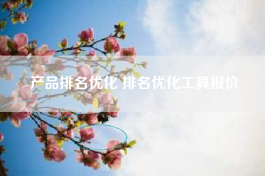 产品排名优化 排名优化工具报价