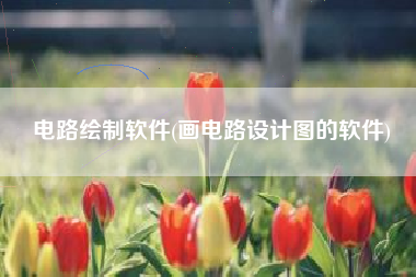 电路绘制软件(画电路设计图的软件)