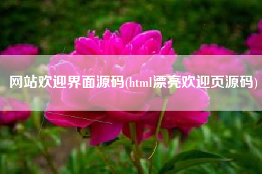 网站欢迎界面源码(html漂亮欢迎页源码)