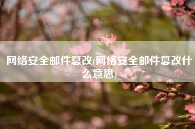 网络安全邮件篡改(网络安全邮件篡改什么意思)
