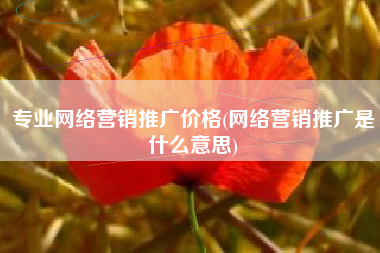 专业网络营销推广价格(网络营销推广是什么意思)