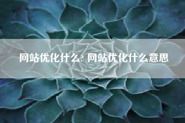 网站优化什么? 网站优化什么意思