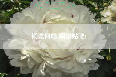 铜梁网站(铜梁贴吧)