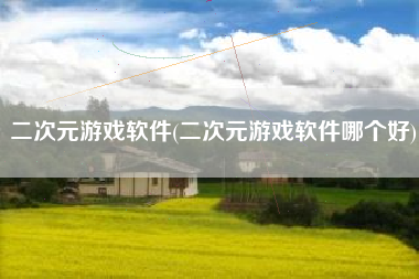 二次元游戏软件(二次元游戏软件哪个好)