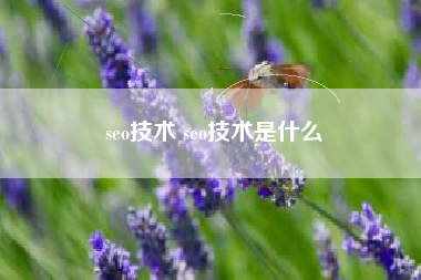 seo技术 seo技术是什么
