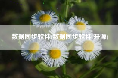 数据同步软件(数据同步软件 开源)