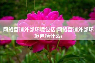 网络营销外部环境包括(网络营销外部环境包括什么)