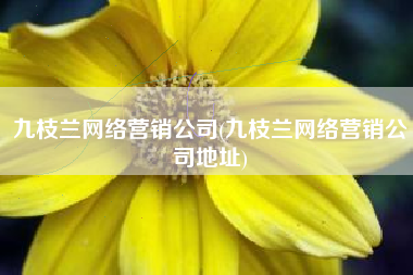 九枝兰网络营销公司(九枝兰网络营销公司地址)
