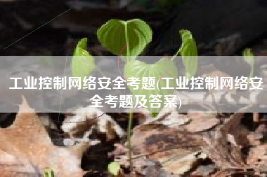工业控制网络安全考题(工业控制网络安全考题及答案)