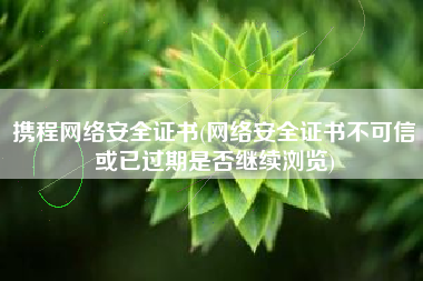 携程网络安全证书(网络安全证书不可信或已过期是否继续浏览)