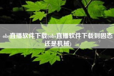 obs直播软件下载(obs直播软件下载到固态还是机械)