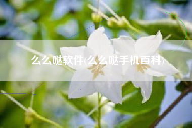 么么哒软件(么么哒手机百科)