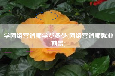 学网络营销师学费多少(网络营销师就业前景)