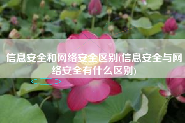 信息安全和网络安全区别(信息安全与网络安全有什么区别)