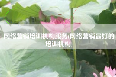 网络营销培训机构服务(网络营销最好的培训机构)