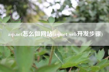 asp.net怎么做网站(aspnet web开发步骤)