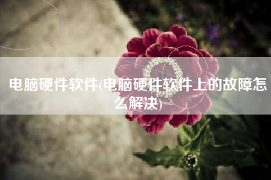 电脑硬件软件(电脑硬件软件上的故障怎么解决)