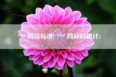 *** 网站标准( *** 网站的设计)