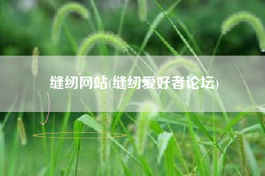 缝纫网站(缝纫爱好者论坛)