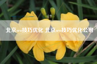 北京seo技巧优化 北京seo技巧优化公司