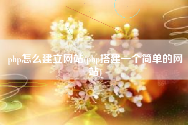 php怎么建立网站(php搭建一个简单的网站)