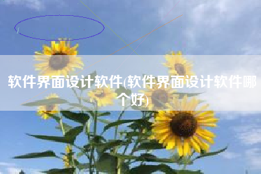 软件界面设计软件(软件界面设计软件哪个好)
