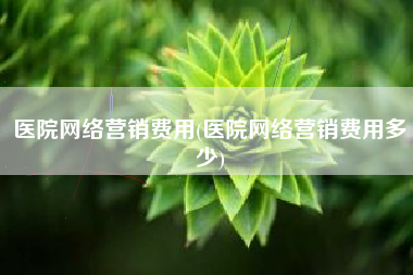 医院网络营销费用(医院网络营销费用多少)