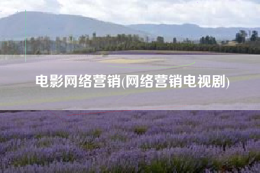 电影网络营销(网络营销电视剧)