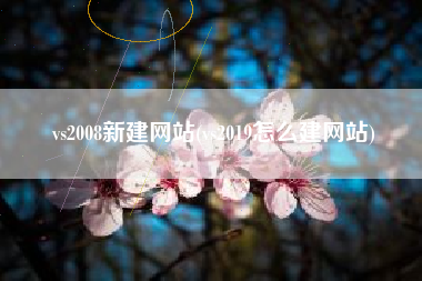 vs2008新建网站(vs2019怎么建网站)