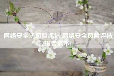 网络安全法风险评估(网络安全风险评估报告范本)