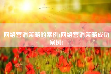 网络营销策略的案例(网络营销策略成功案例)