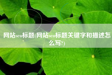 网站seo标题(网站seo标题关键字和描述怎么写?)