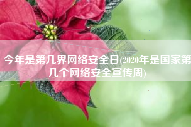 今年是第几界网络安全日(2020年是国家第几个网络安全宣传周)