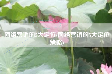 网络营销的5大定位(网络营销的5大定位策略)