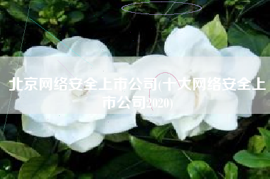 北京网络安全上市公司(十大网络安全上市公司2020)
