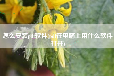 怎么安装pdf软件(pdf在电脑上用什么软件打开)