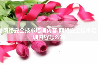 网络安全技术培训内容(网络安全技术培训内容怎么写)