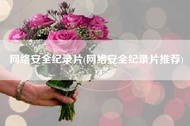 网络安全纪录片(网络安全纪录片推荐)
