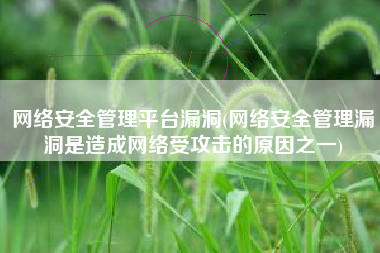 网络安全管理平台漏洞(网络安全管理漏洞是造成网络受攻击的原因之一)